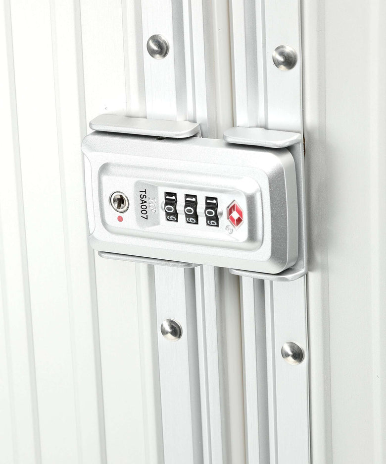 Aleon 30 International Spinner (4 wheels) platinum