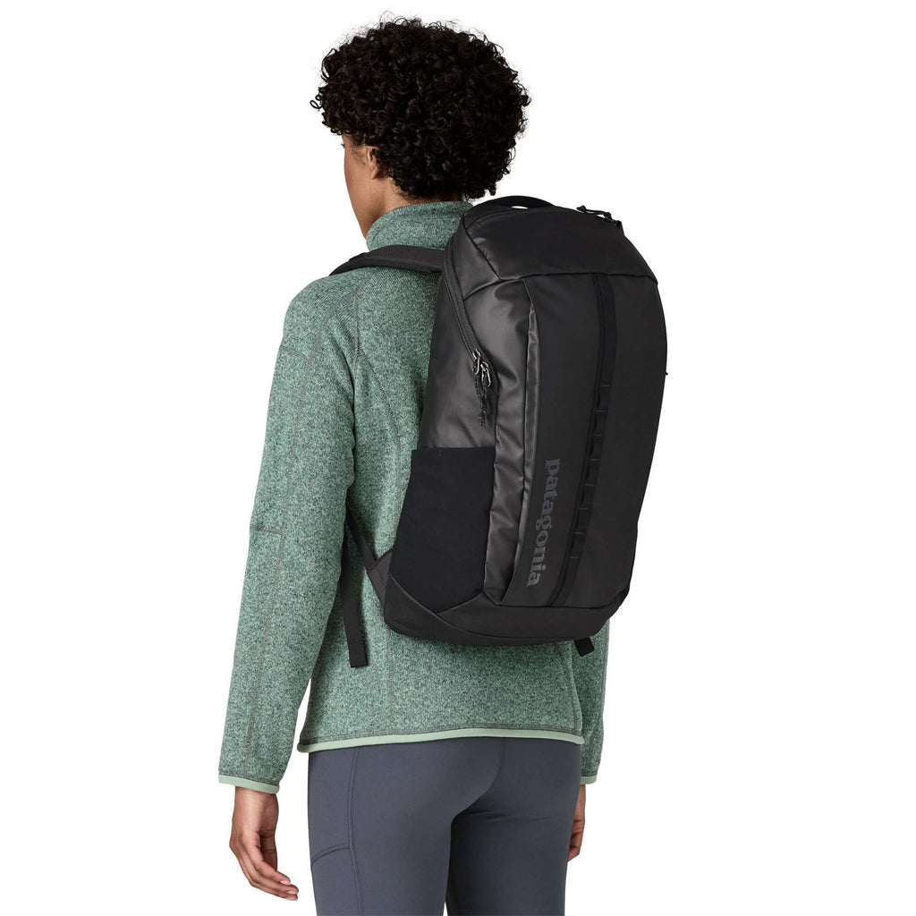 Patagonia Black Hole 25 Backpack brisk purple