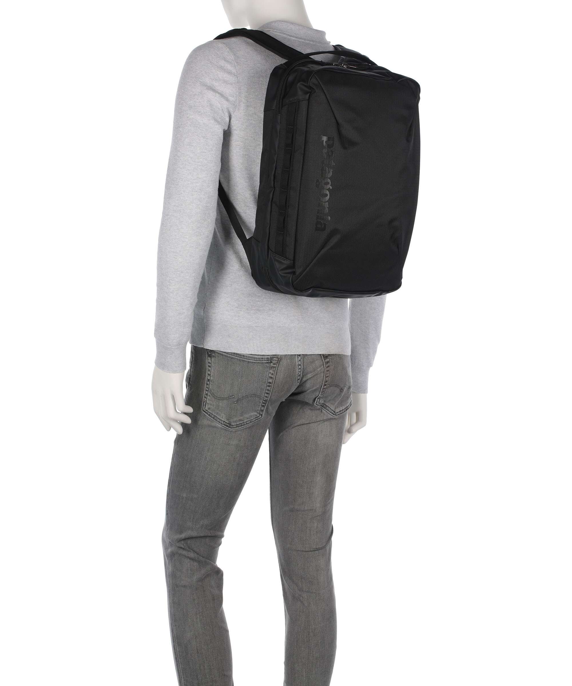 Patagonia Black Hole MCL Micro Travel backpack birch white