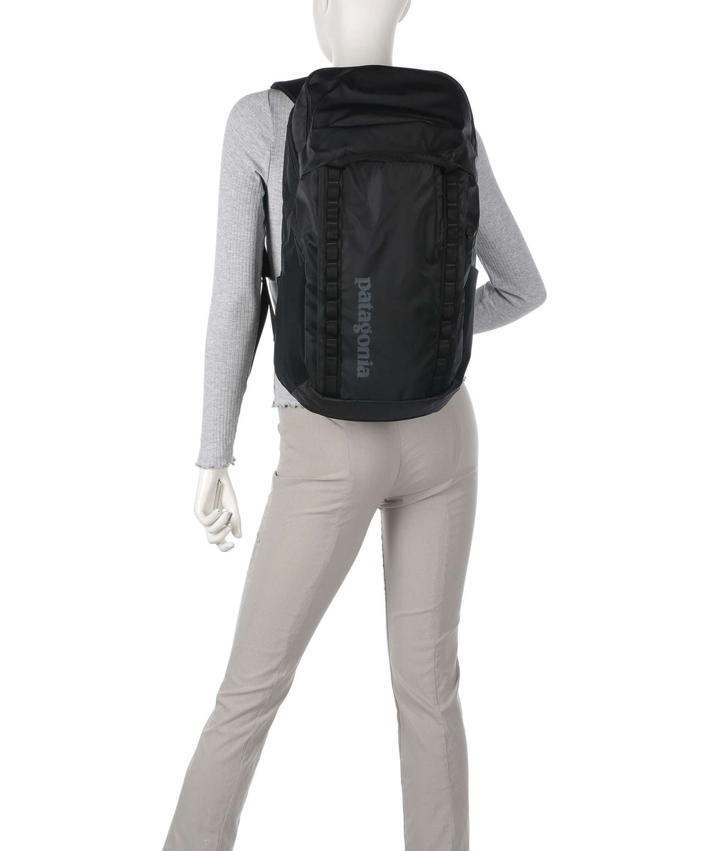 Patagonia Black Hole 32 Backpack birch white