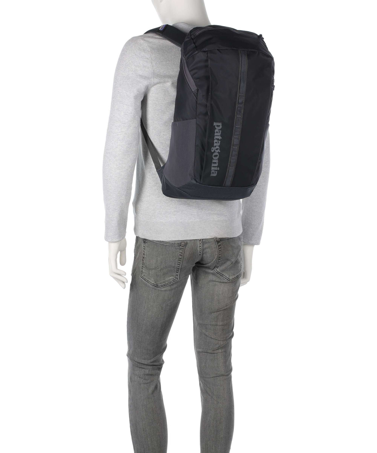 Patagonia Black Hole 25 Backpack cinnamon brown