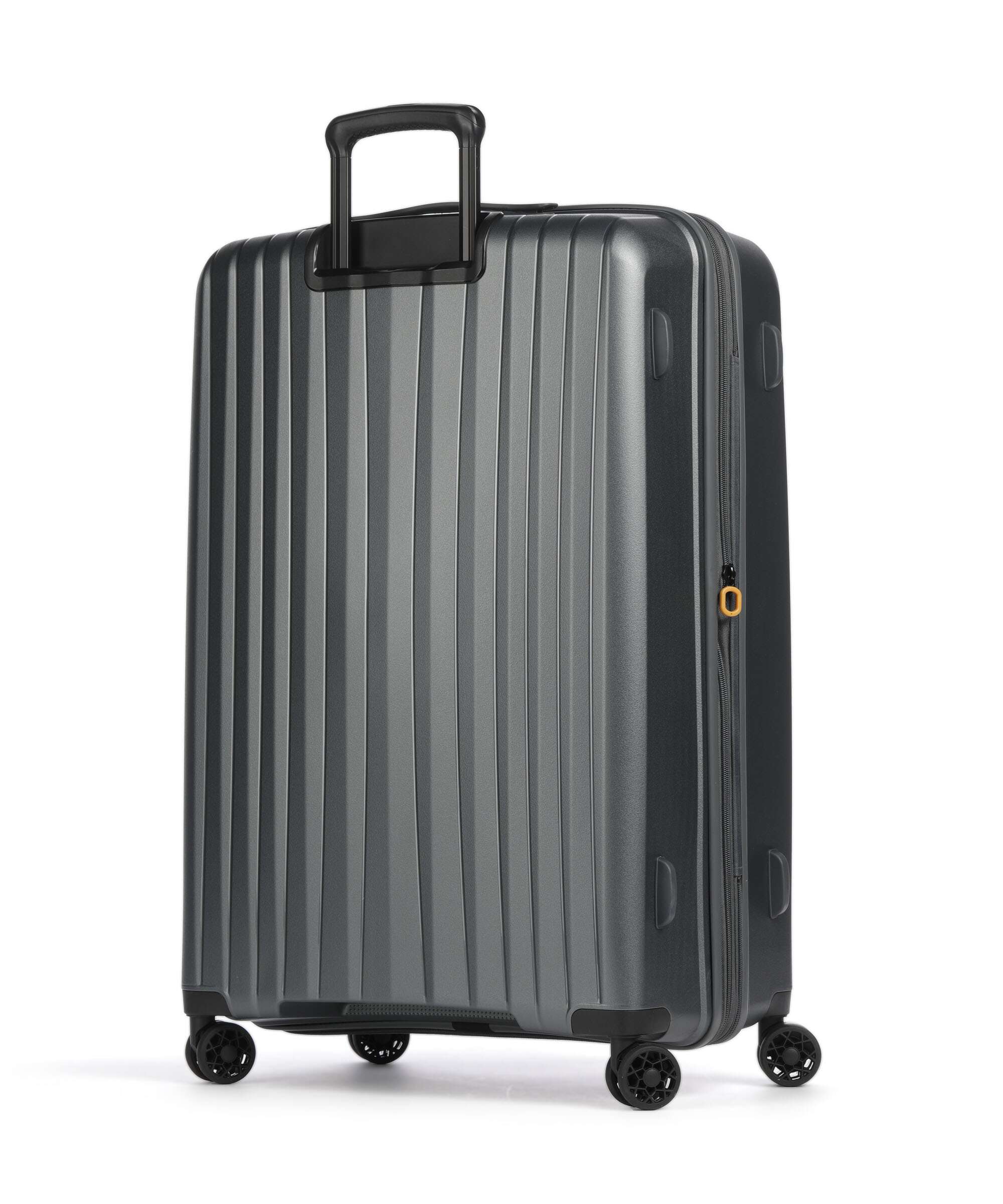 Jump Enais Spinner (4 wheels) anthracite