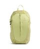 Deuter AC Lite 21 SL Hiking backpack sprout linden