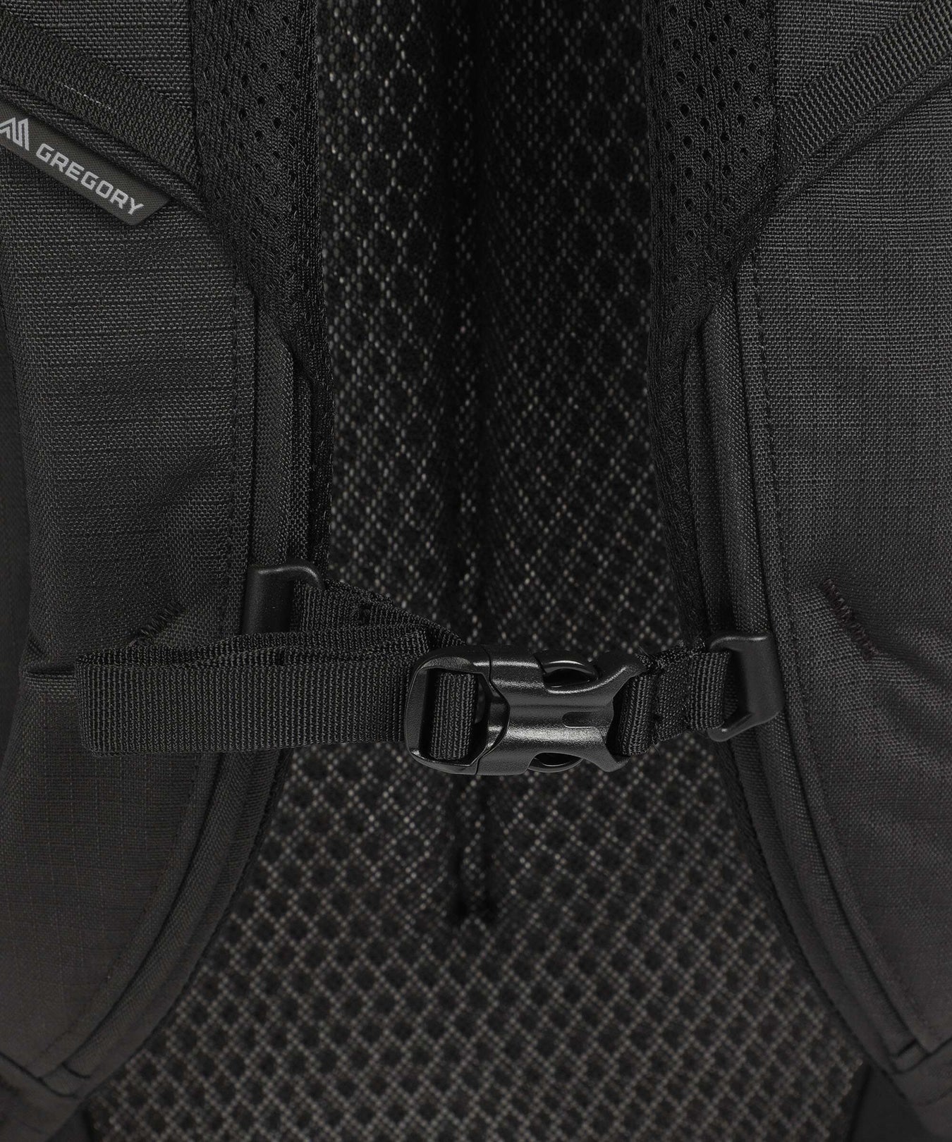 Gregory Border 30 Travel backpack black lichen
