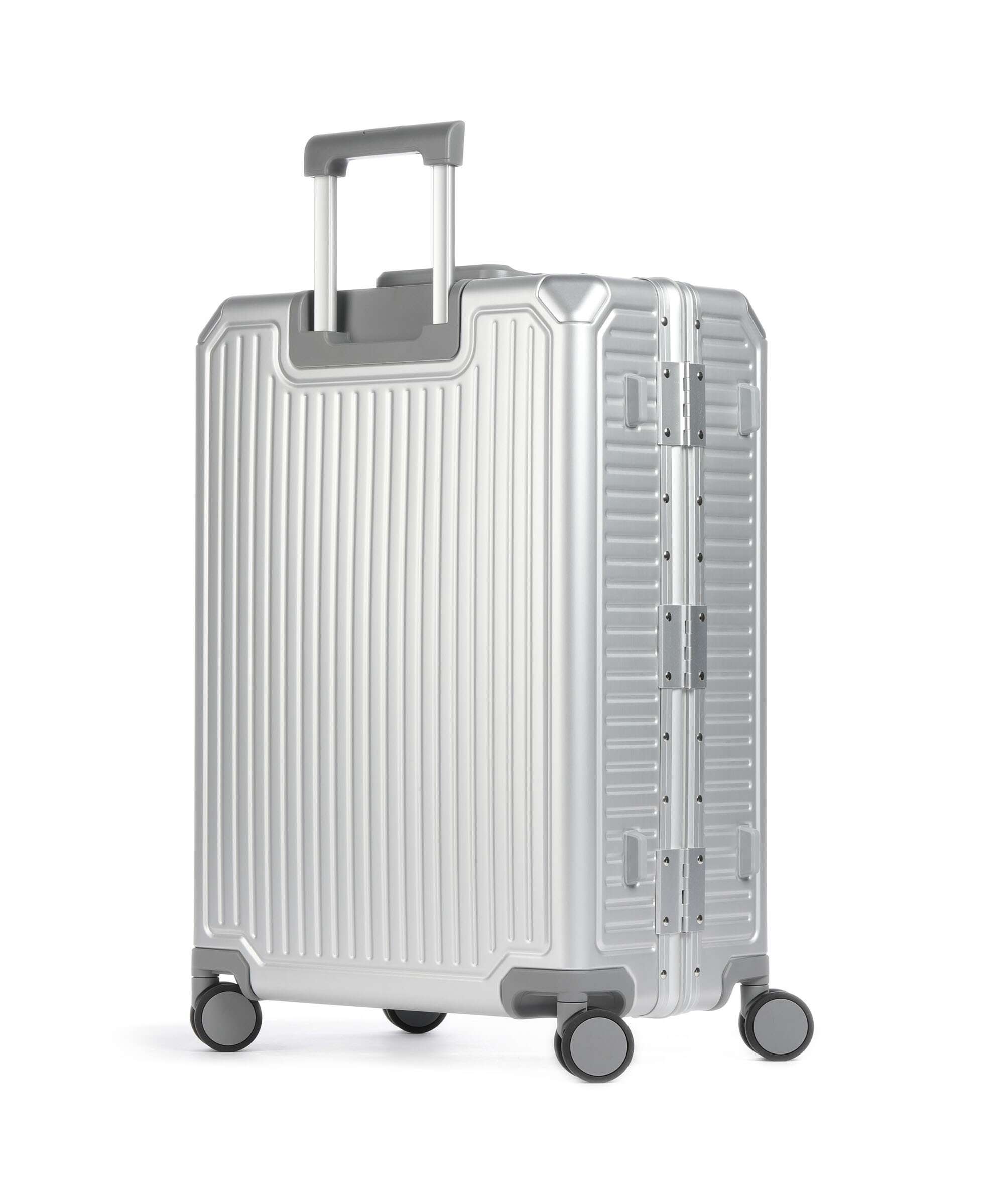 Echolac Shogun Classic M Spinner (4 wheels) silver 68 cm - CTA148