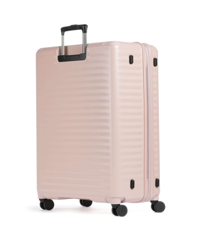 Echolac Celestra BLX L Spinner (4 wheels) pink