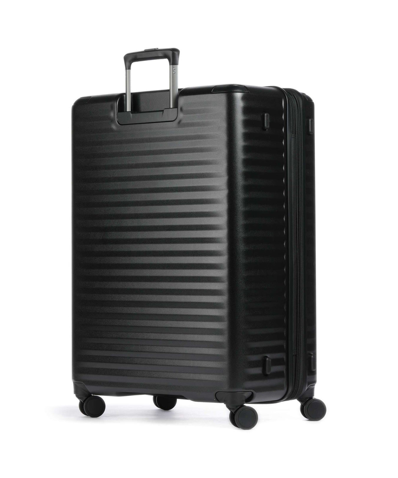 Echolac Celestra BLX L Spinner (4 wheels) black