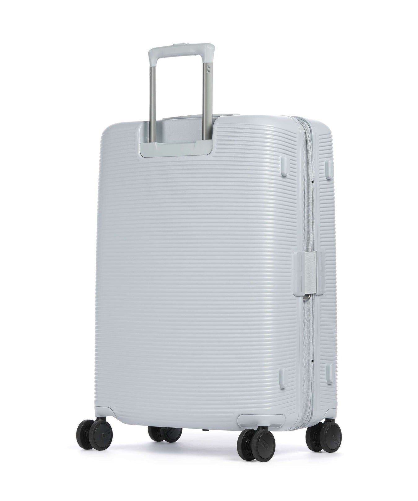 Echolac Ultima M Spinner (4 wheels) light blue