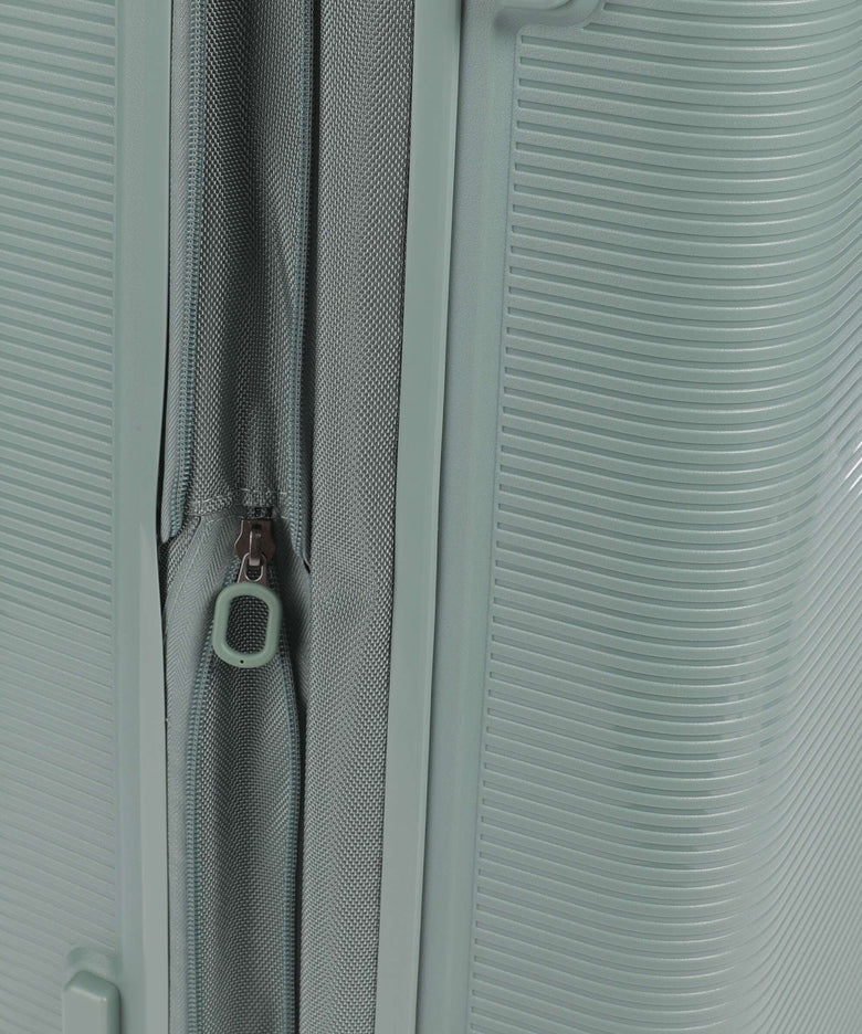 Echolac Forza M Spinner (4 wheels) sage leaf