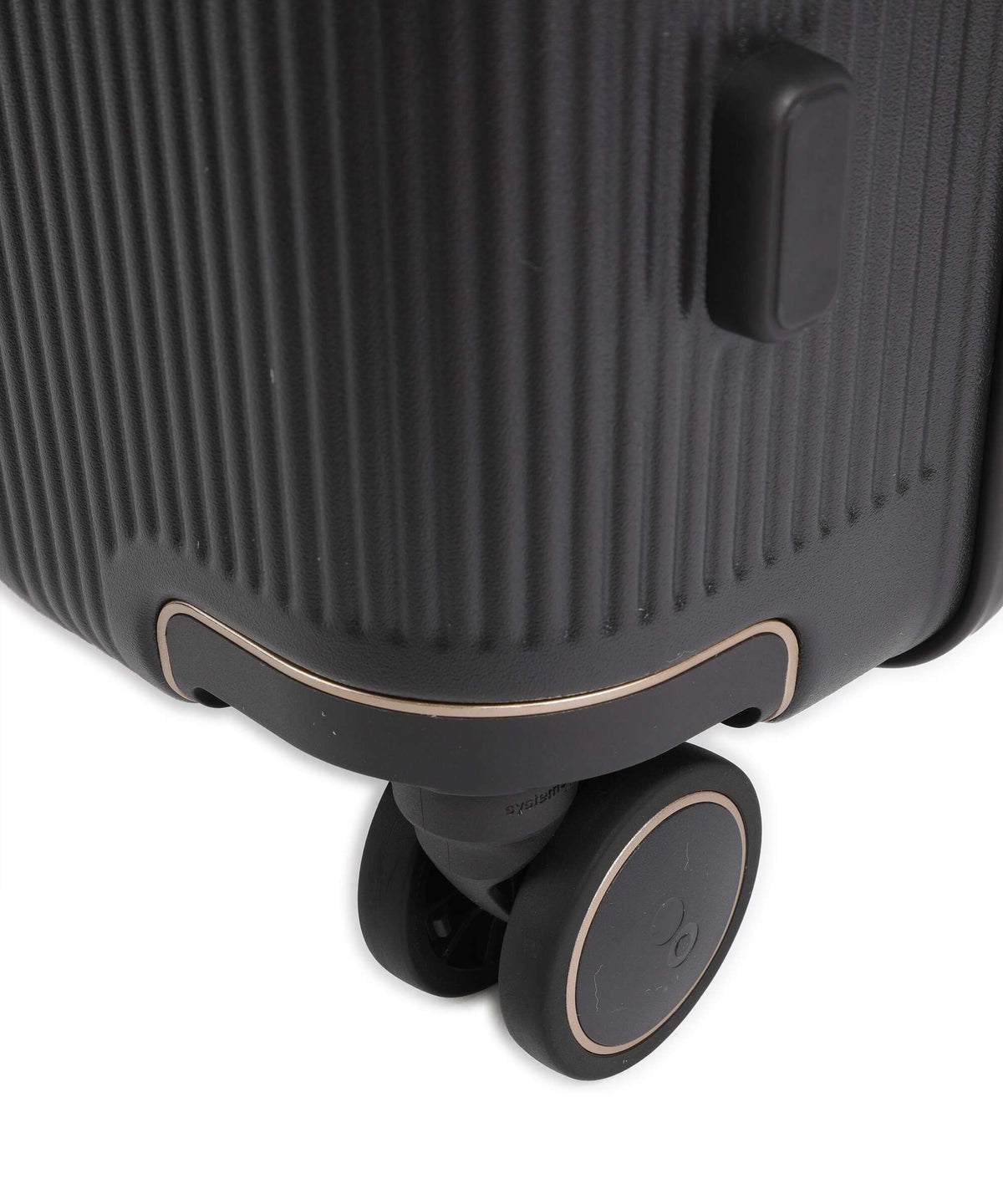 Echolac Dynasty VLX M Spinner (4 wheels) dark chocolate