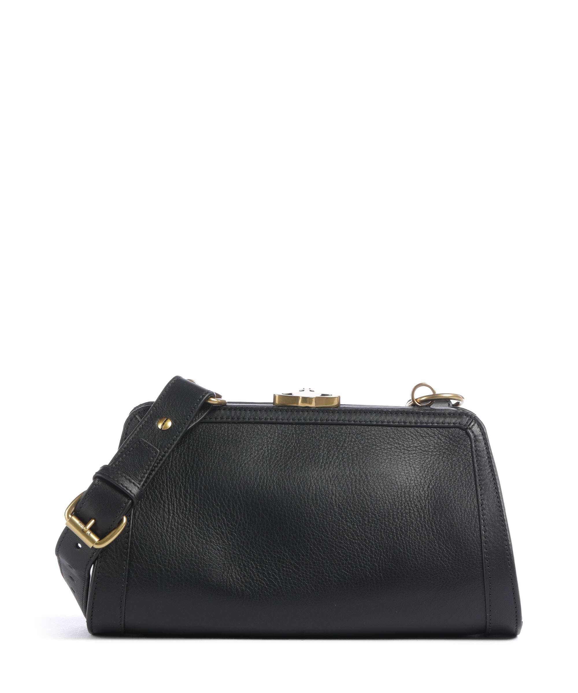 Vivienne Westwood Ascot Frame Aniline Crossbody bag grained