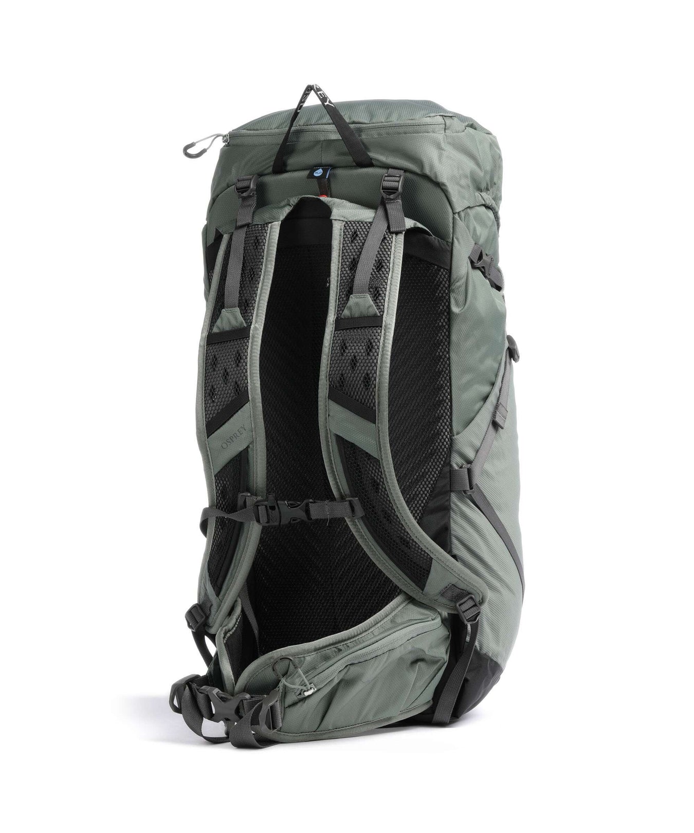 Osprey Sportlite 30 M/L Hiking backpack pine leaf green