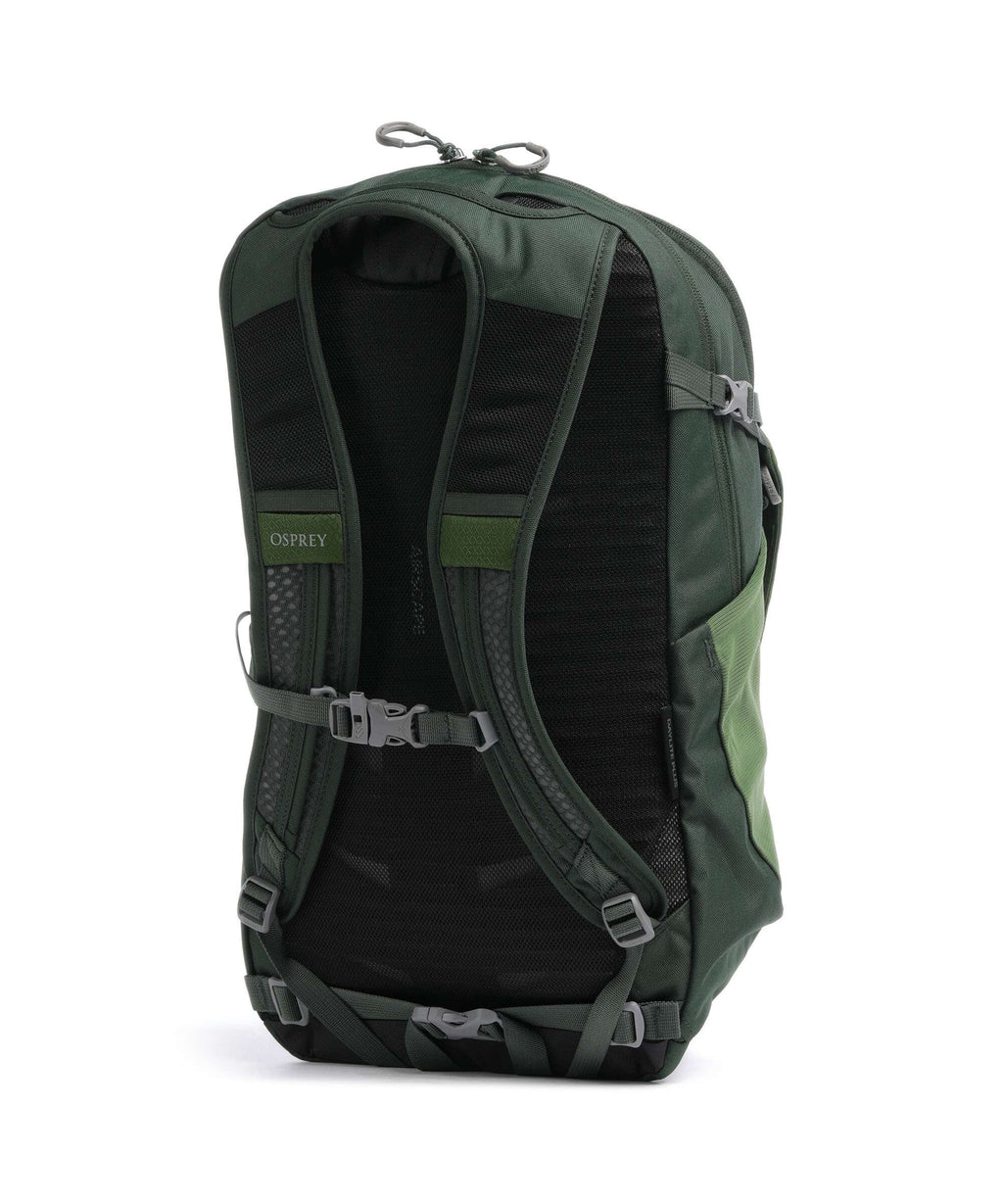 Osprey Daylite Plus Backpack green belt/green canopy