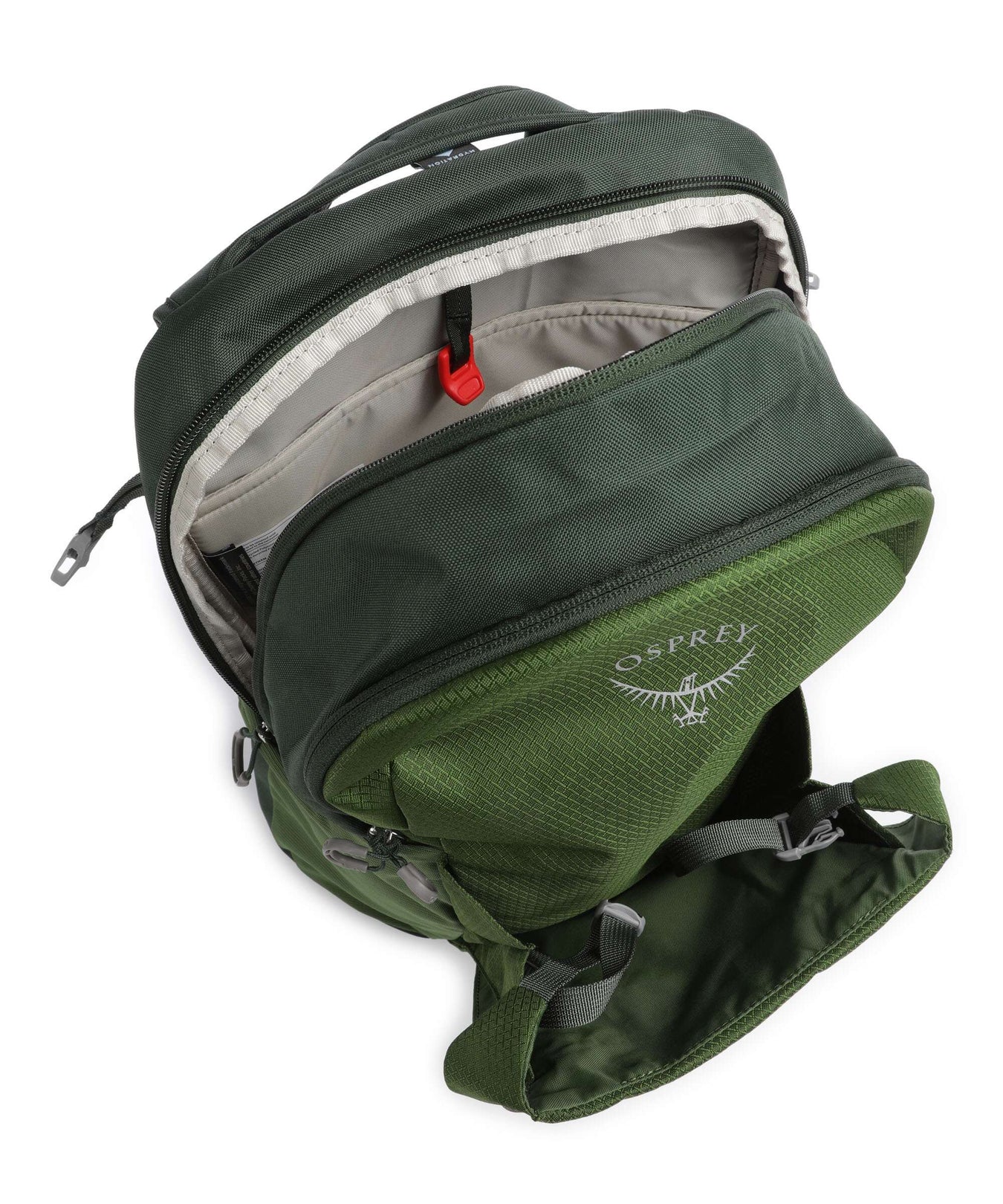 Osprey Daylite Plus Plus Backpack green belt/green canopy