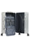 Aleon Domestic Carry-On Spinner (4 wheels) platinum
