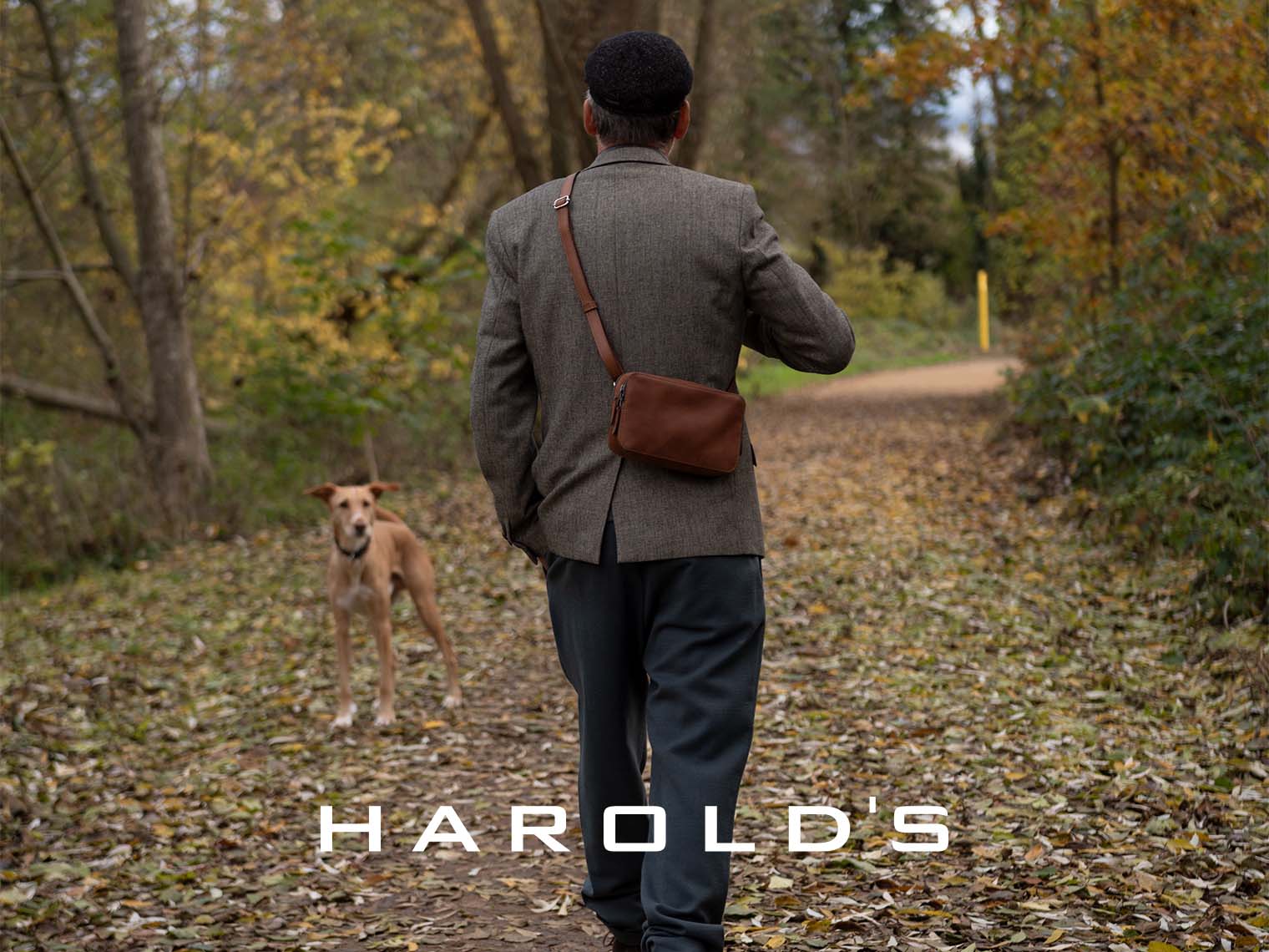 Harold's | Timeless Leather Bags & Backpacks - shop online – WARDOW